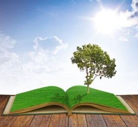 Tree growing from a book