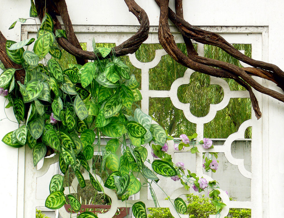 Lent 2016 – Grow a Rule of&nbsp;Life