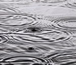 for your own reflection