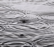 for your own reflection