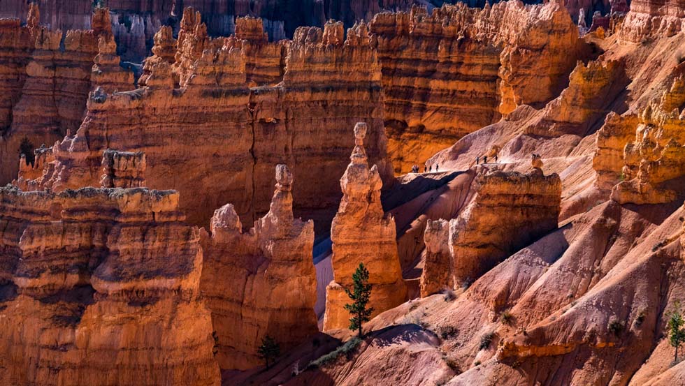 O Antiphons: O King . . . come and save&nbsp;man