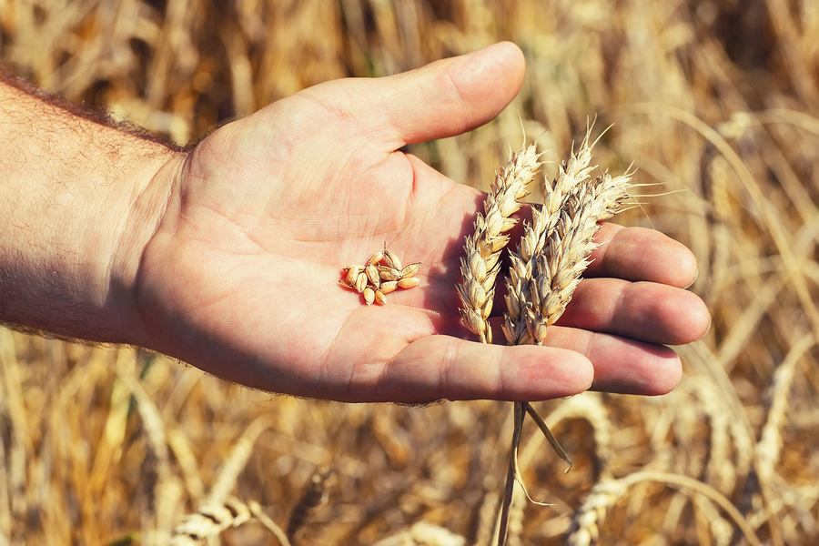 The Way of Love for Holy Week,&nbsp;Tuesday